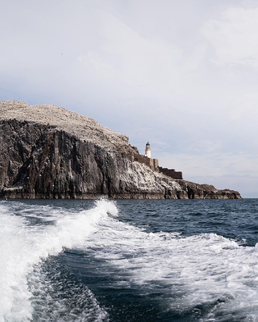 Bass Rock from boat